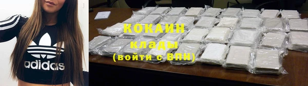 соль ск Абаза