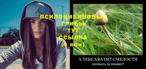 шишки Абинск