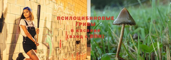 шишки Абинск