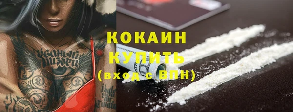 шишки Абинск