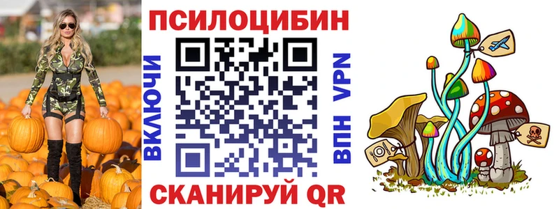 Галлюциногенные грибы Psilocybine cubensis Советская Гавань